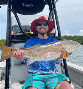 Redfish Caught in Tampa Bay